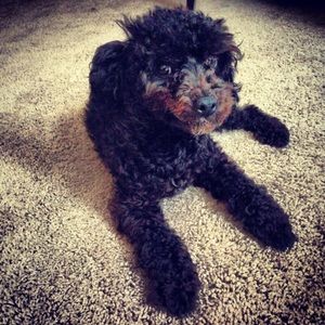 Meet your Posher, Jonna